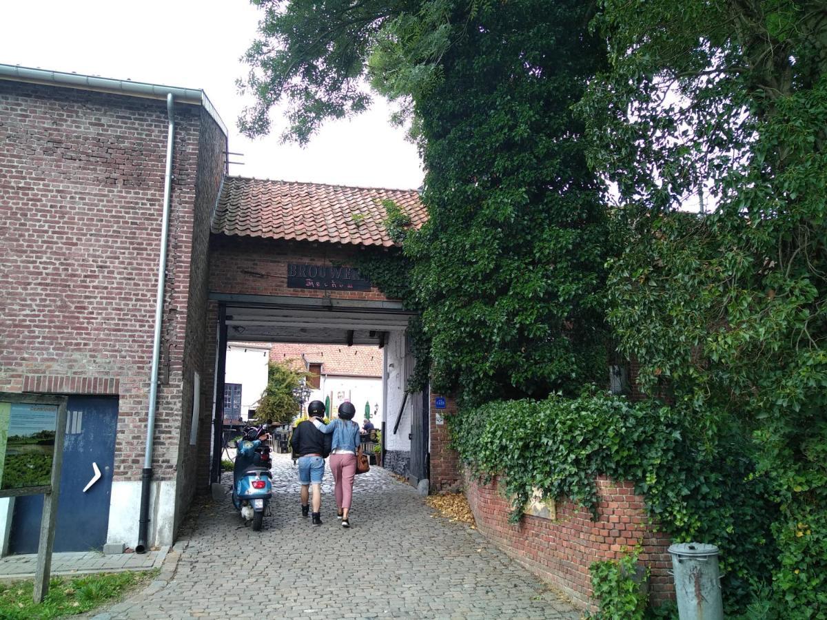 Vakantiewoning Mierzicht Met Prive Wellness Haspengouw Boekhout ภายนอก รูปภาพ